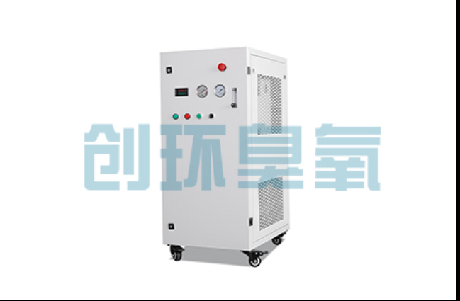 浦东工厂化养鲈必看：2026年臭氧发生器替代传统消毒的最新方案