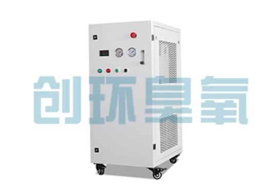 浦东石斑鱼养殖水质调控完整指南:臭氧发生器配置与操作步骤