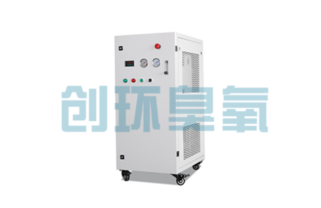 浦东比传统换水更高效?臭氧发生器在石斑鱼养殖中的水质净化原理解析