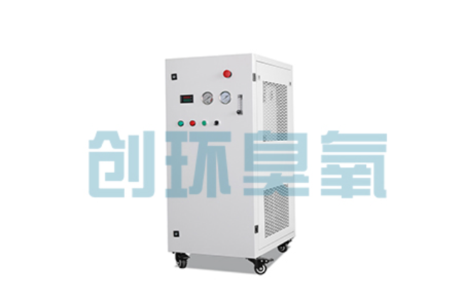 浦东比传统换水更高效?臭氧发生器在石斑鱼养殖中的水质净化原理解析